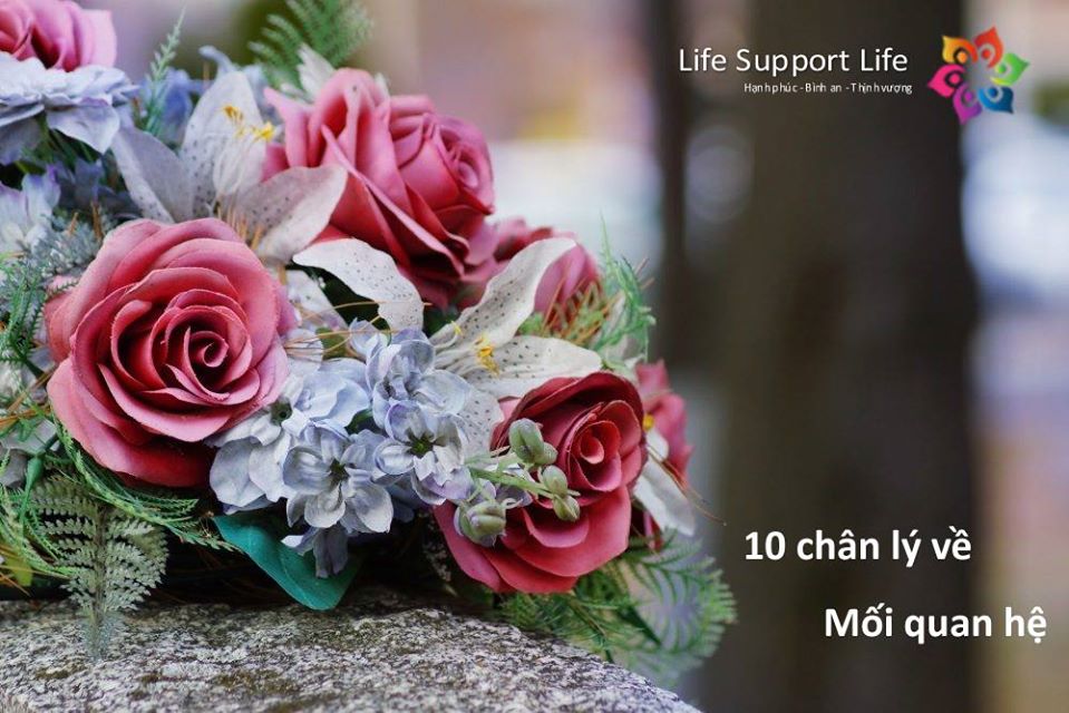 Life-Support-Life-10-chan-ly-khong-nen-quen-ve-cac-moi-quan-he-trong-cuoc-song-0